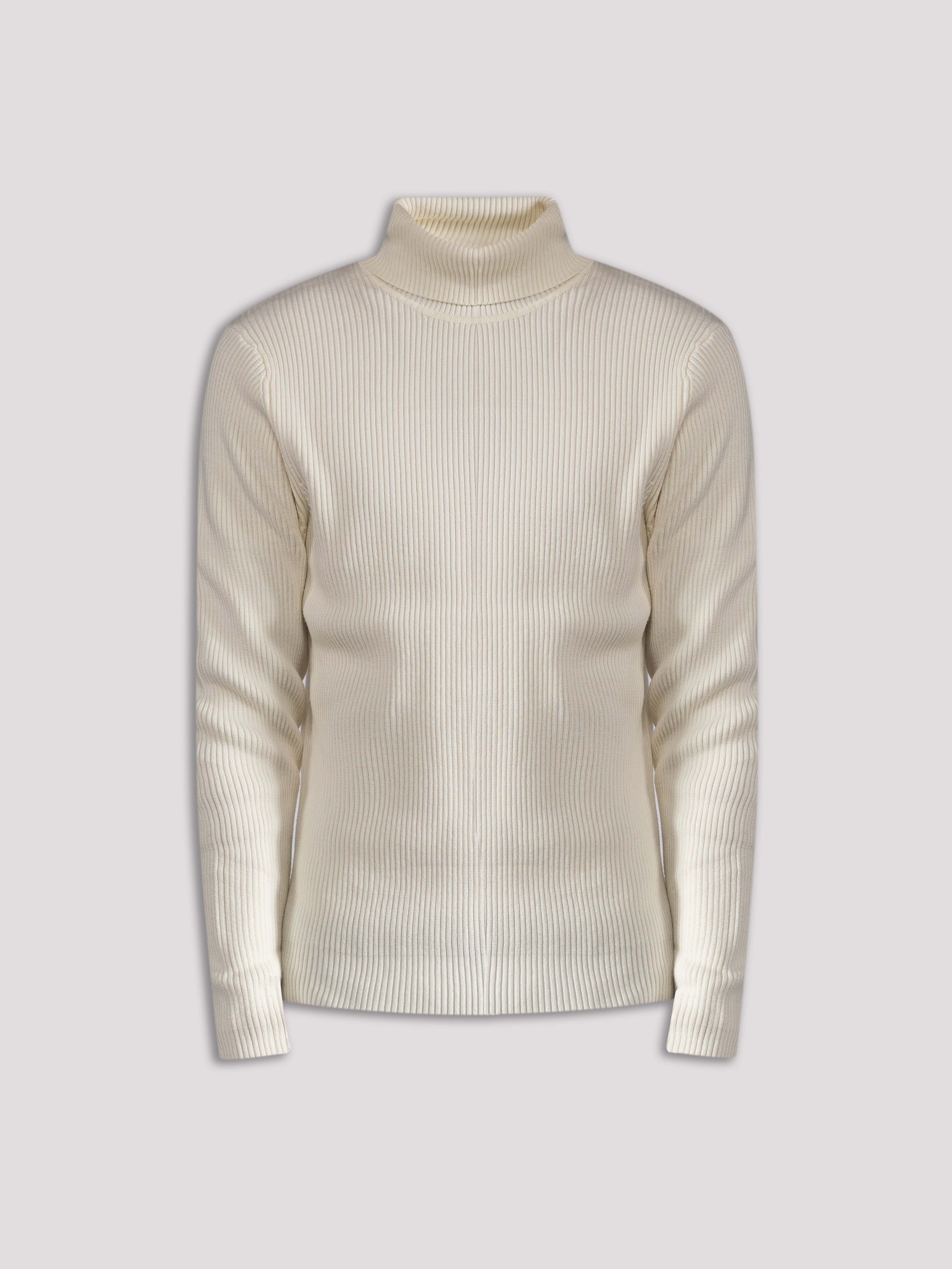 Ribbed Turtle Neck Sweater