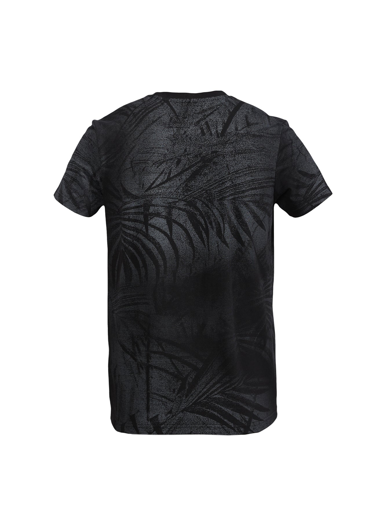 Teddy Bear Graphic Tee - XIOS America